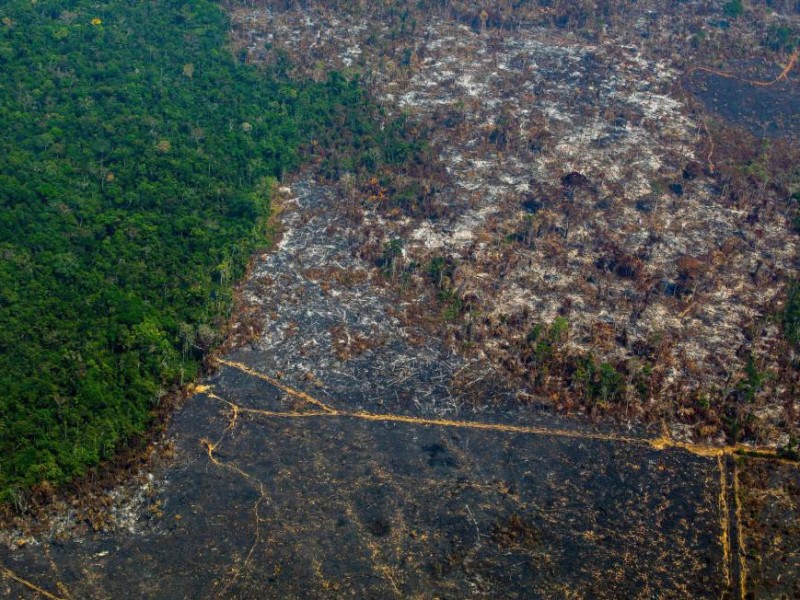 La Amazonia alcanza su mayor nivel en deforestación desde 2008