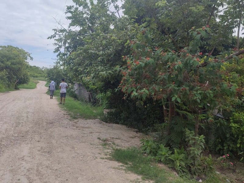 La colonia de los olvidados; México Lindo