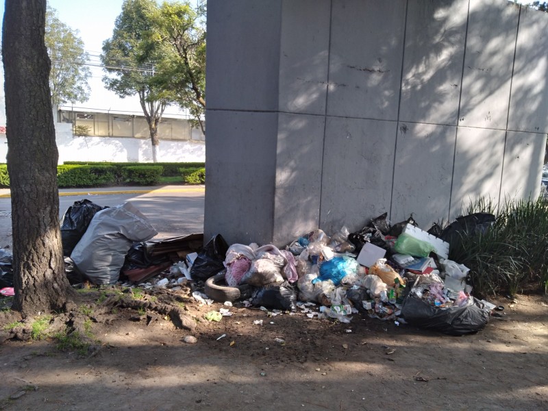 La colonia la Mora se inunda de basura