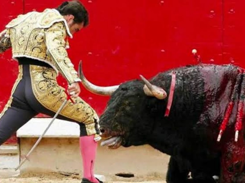 La corrida de toros no es cultura