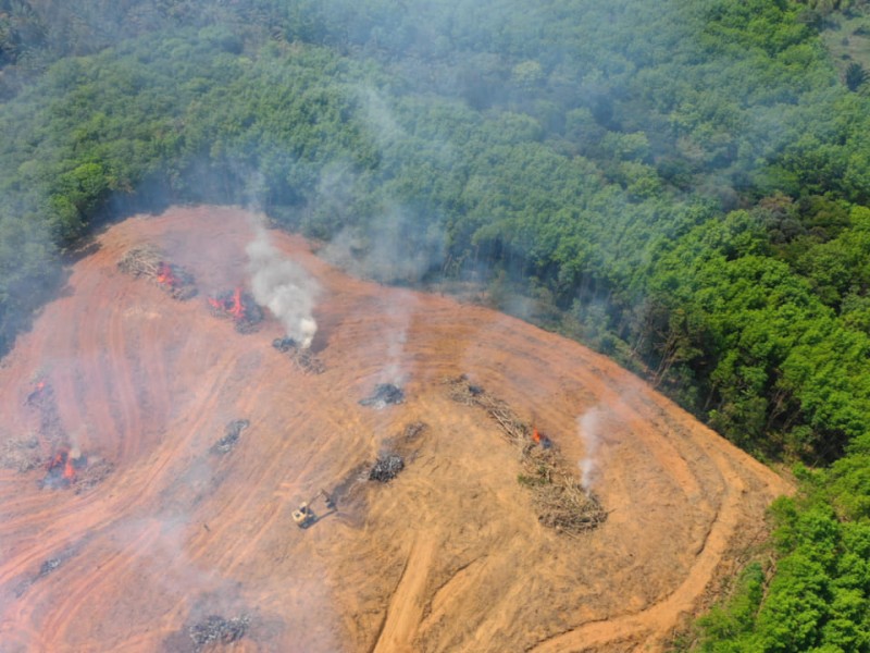 La deforestación disminuye las precipitaciones en zonas tropicales