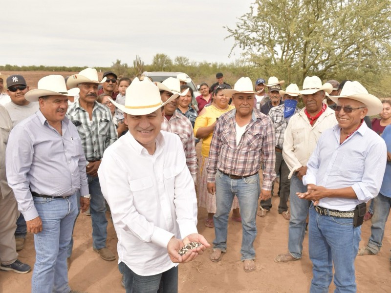 La exportación agricola de Sonora, segunda mejor en México