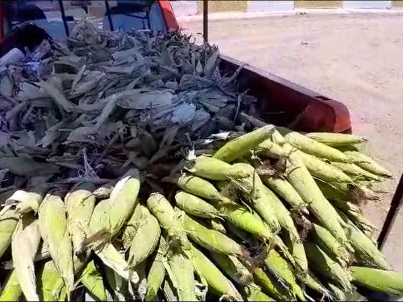 La falta de agua afecta mucho a los productores