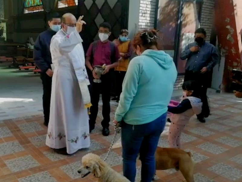 📹La feligresía católica celebra al Santo Patrono de los Animales