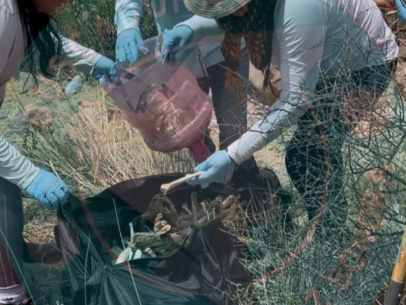 La FGJE realiza análisis a los restos óseos encontrados en Pitiquito