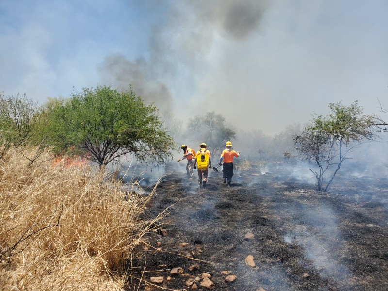 La mayoría de los incendios en Hermosillo son de maleza y basura