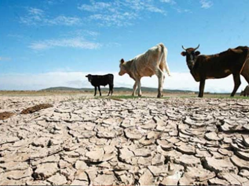 La niña llegó y se instaló, seguirá la sequia