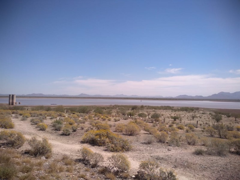 La peor sequía en Sonora desde 37 años