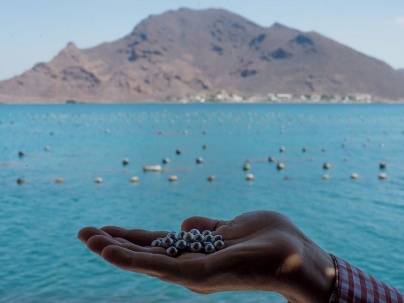 La perla del Mar de Cortés, una joya de Sonora