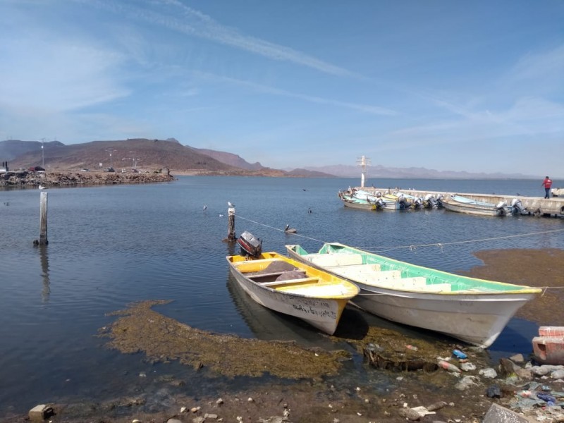 La pesca con riesgo de abandono en Sonora