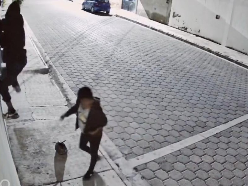 Ladrones de cámaras se ocultan en La Joya