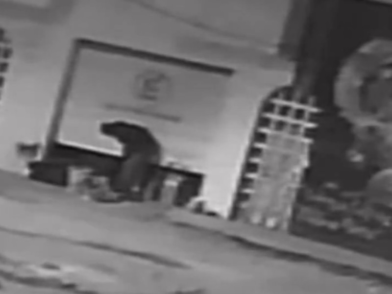 Ladrones saquean negocio en Los Pinos Mayorazgo