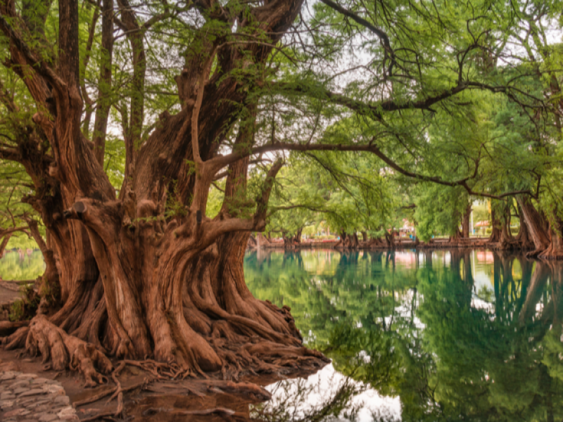 Lago de Camécuaro permanecerá abierto 24 y 25 de diciembre