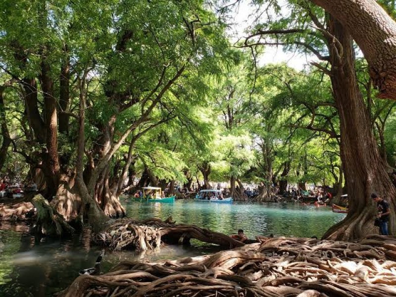 Lago de Camécuaro permanecerá abierto todos los días de diciembre