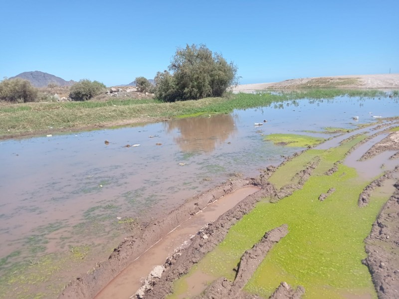 Laguna de aguas negras en la playa San Francisco