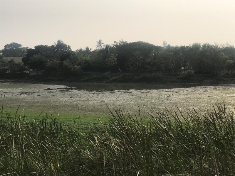 Laguna de Tarimoya se seca