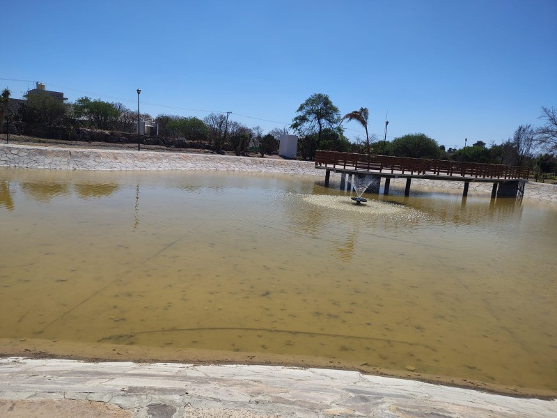 Laguna del Parque El Riego presenta fisuras y urge reparar