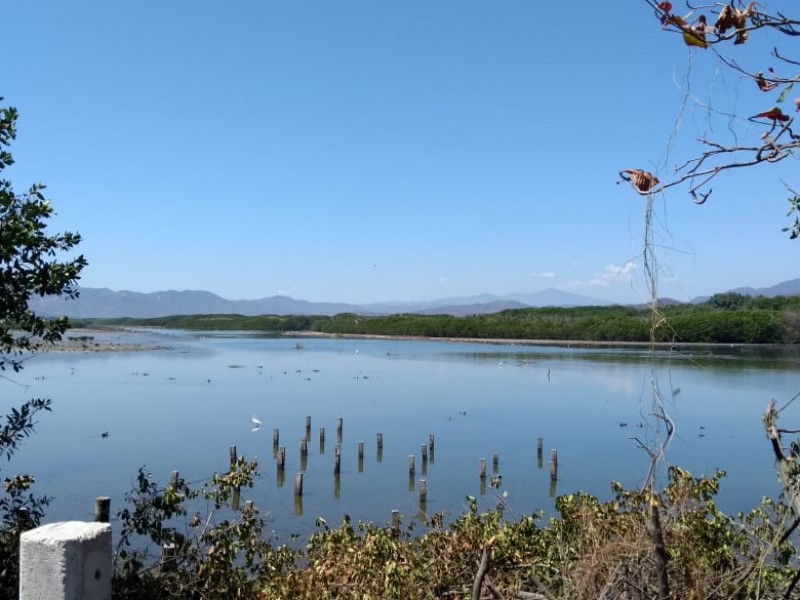 Laguna del Valle de las Garzas en extinción