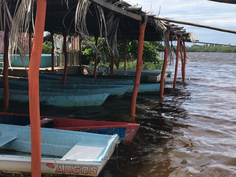 Laguna llena, enramaderos piden visitar Barra de Potosí