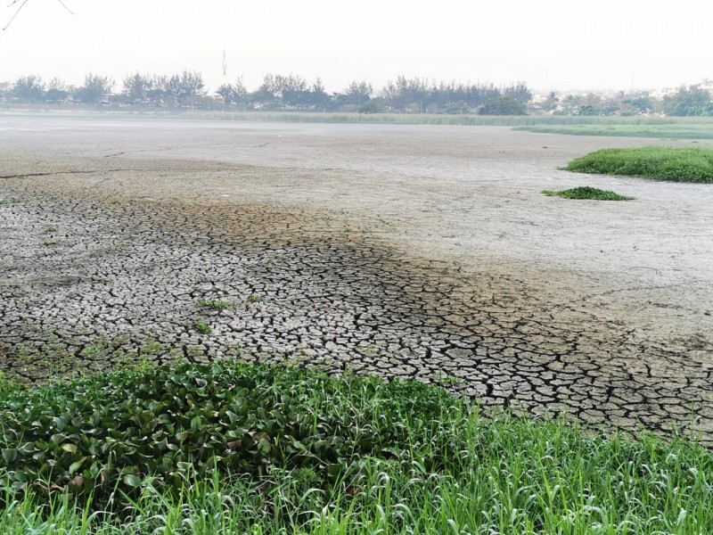 Lagunas de Veracruz en el abandono