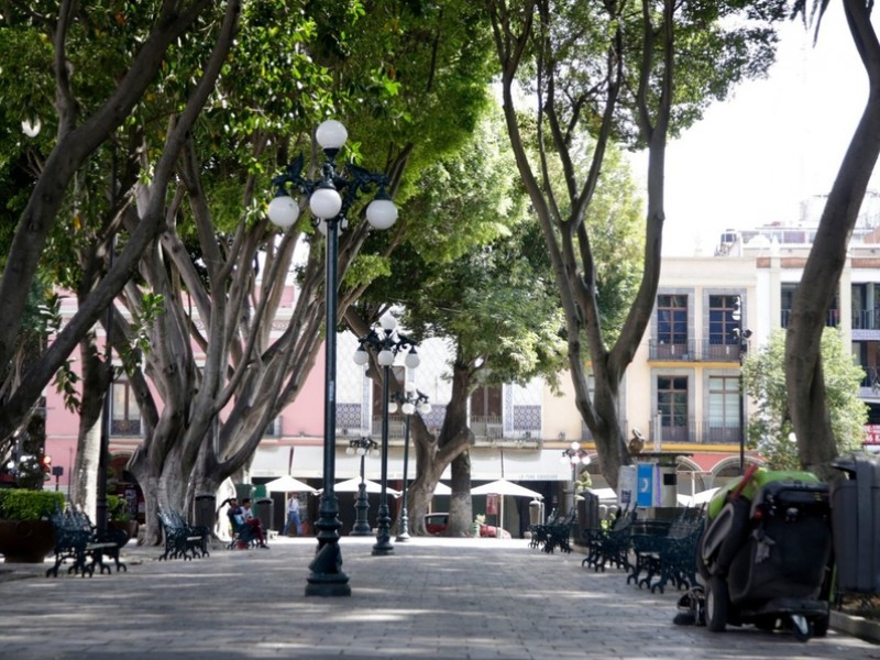 Lajas del zócalo podrían estar en parque de La Margarita