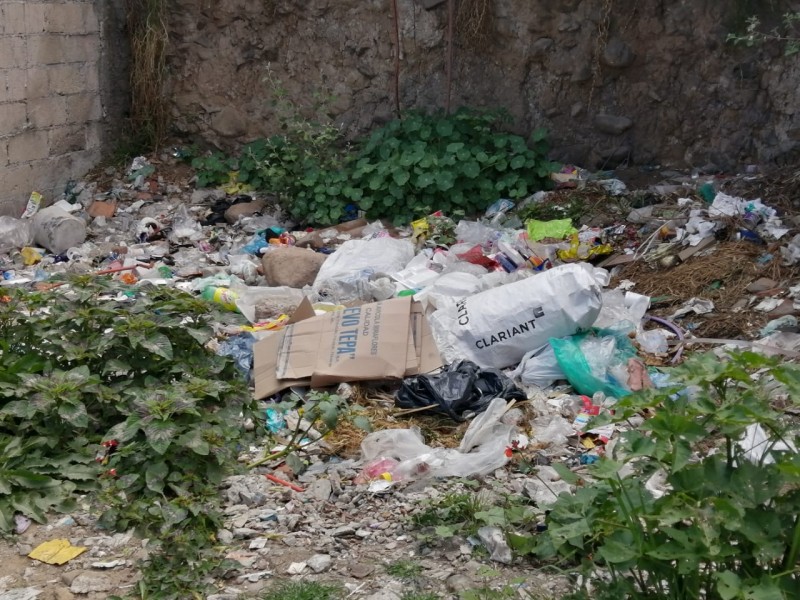 Lamentable, baldíos llenos de basura en La Teresona