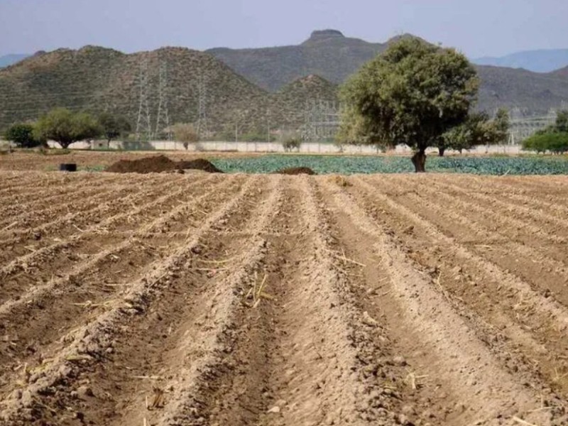 Lamentan desinterés frente a extorsiones contra el sector agropecuario