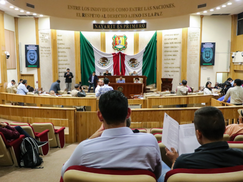 Lamentó diputada negativa para incrementar presupuesto de salud mental