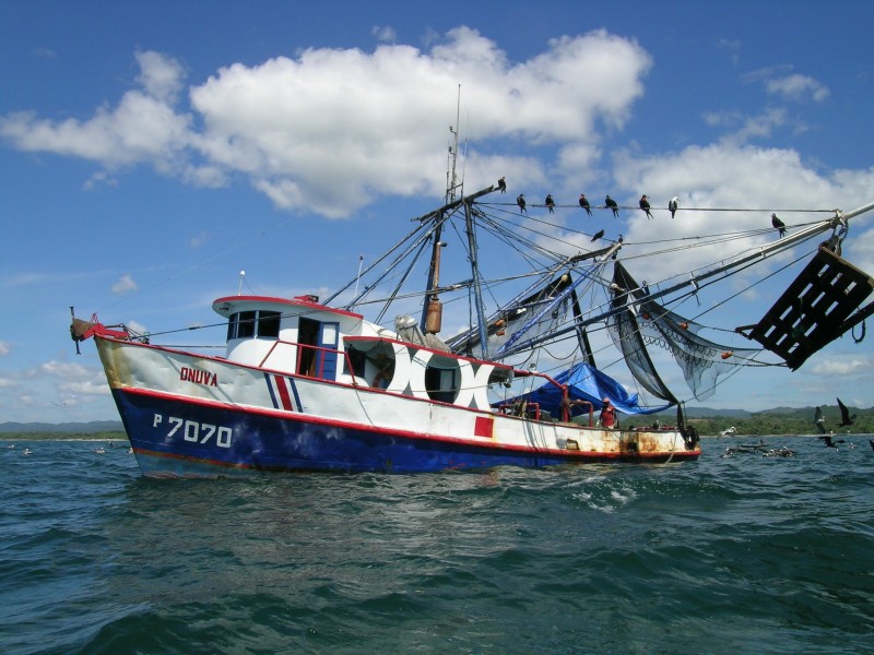 Lanchas para avistamiento de ballenas ahuyentó a barcos camaroneros