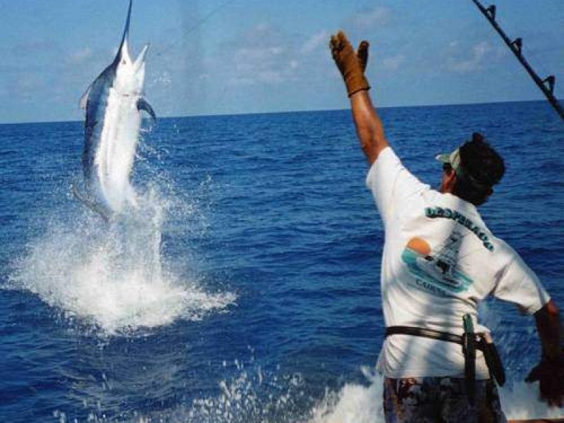 Lancheros libres, registran mayor ganancia de la pesca deportiva