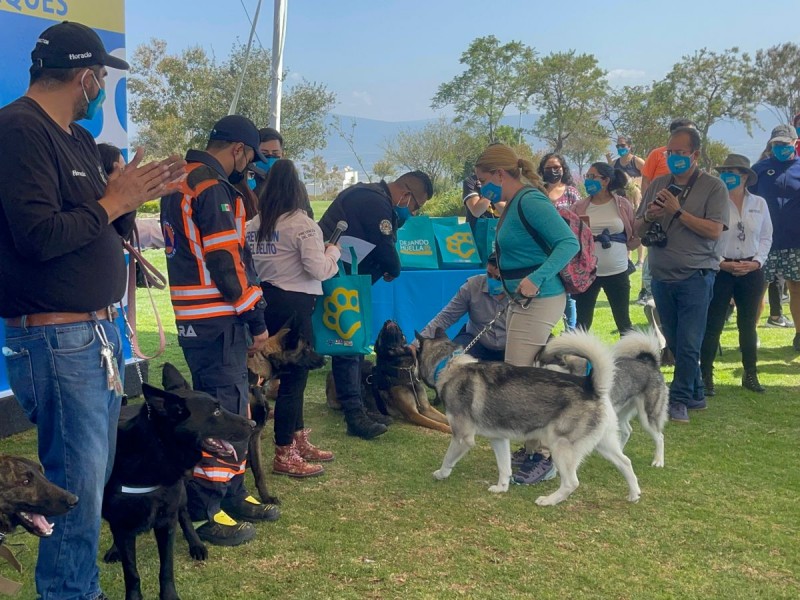 Lanza el Marqués programa contra abandono animal