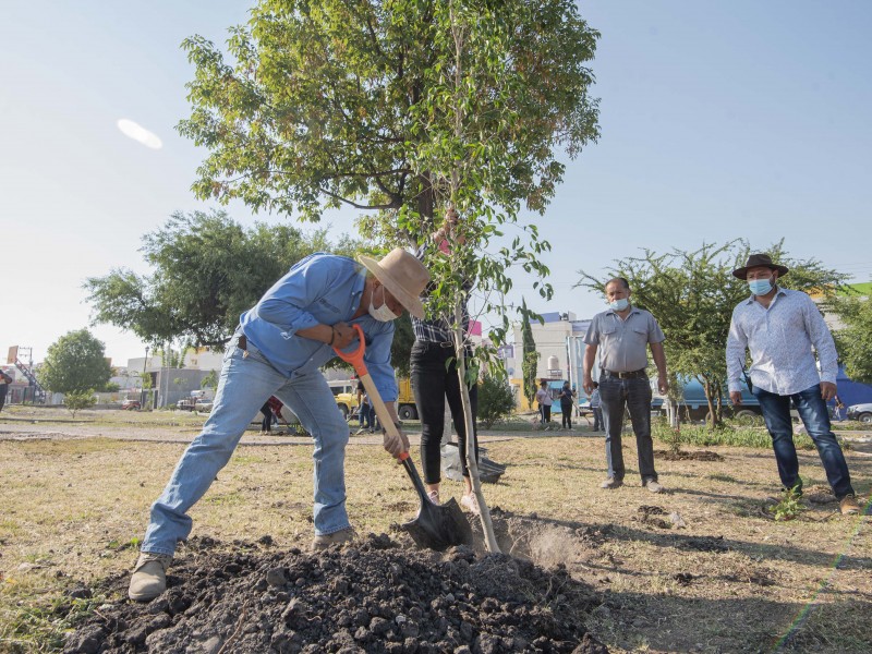 Lanza El Marqués programa de reforestación