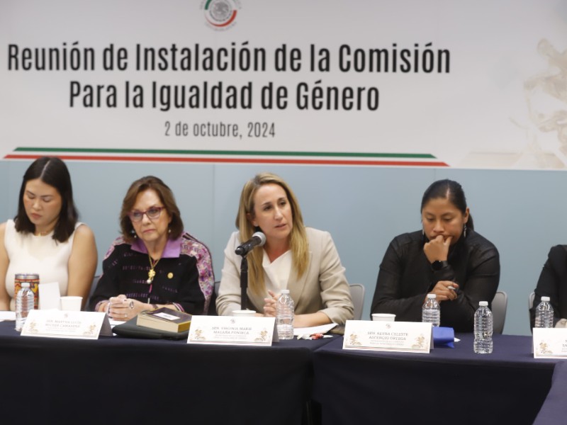 Lanza enérgico llamado a atender alerta de genero