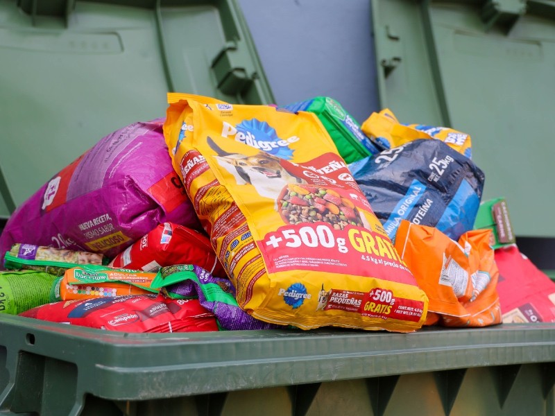 Lanzan en Corregidora “Abriga a tu mascota” colecta invernal