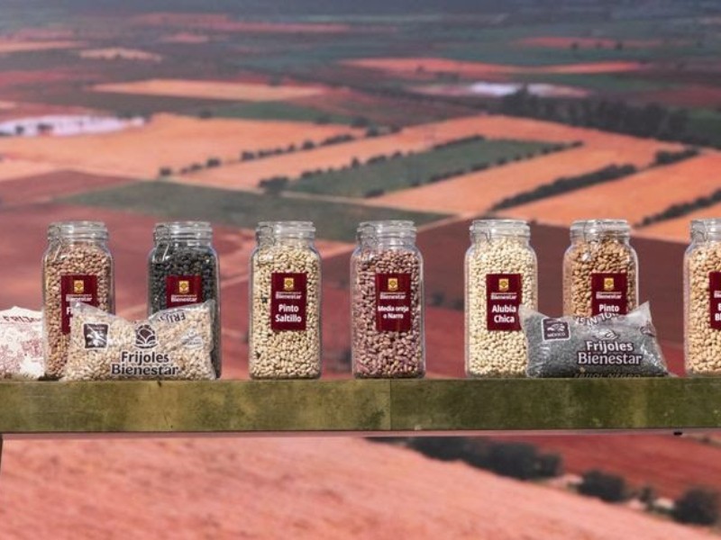 Lanzan frijoles del Bienestar, Nayarit entre los principales productores