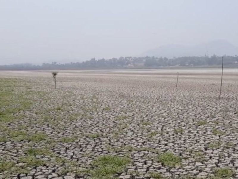 Lanzan petición en Change.org para recate de laguna El Farallón