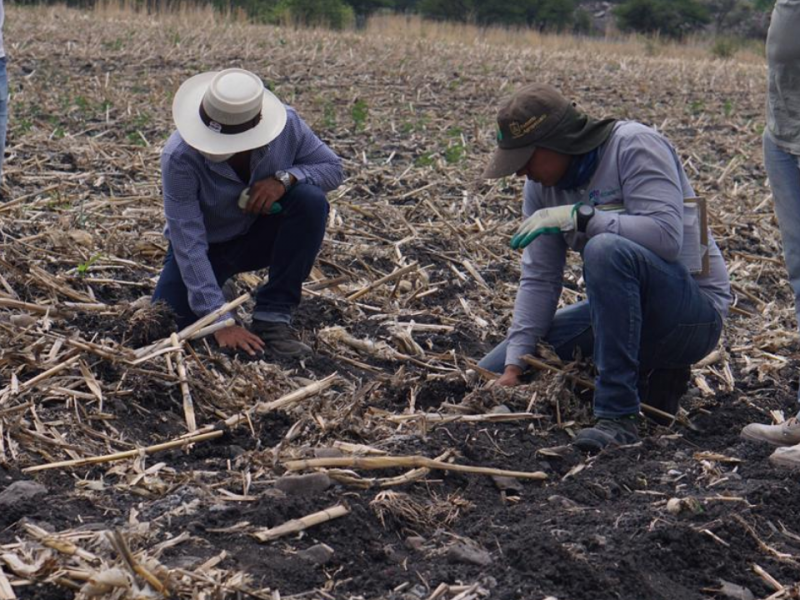 Lanzan segunda campaña cosechando agua