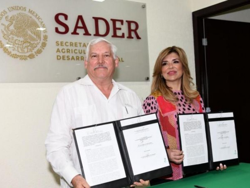 Las instalaciones de la SADER no están listas