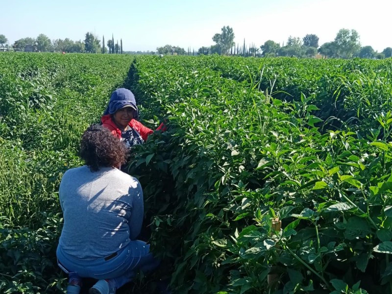 Apoya IMMujeres a indígenas migrantes en León