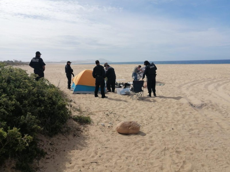 Las playas se encuentran limpias sin la presencia del hombre