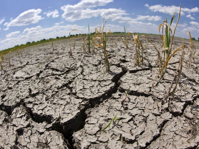 Las pocas lluvias afectan los cultivos