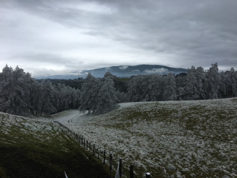 Las Vigas quedó cubierta de blanco tras helada