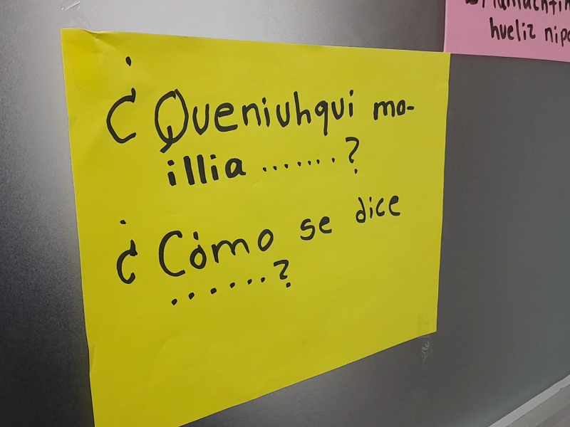 Lenguas maternas en Zacatecas ¿En peligro de desaparecer?