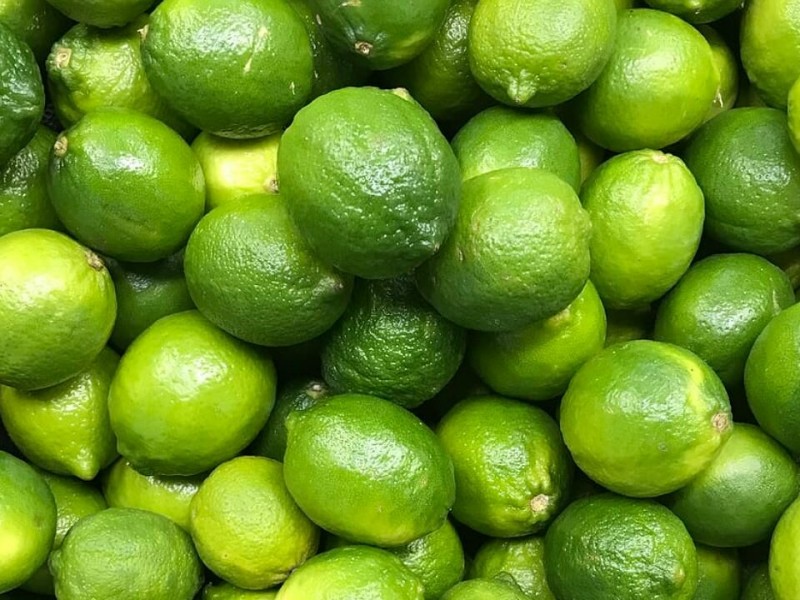 Lentamente inicia estabilización del precio del limón