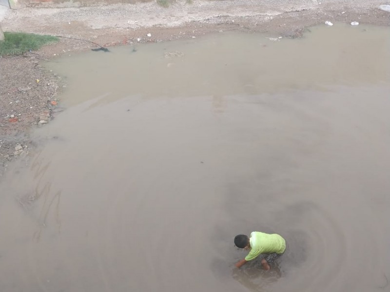 León bajo el agua