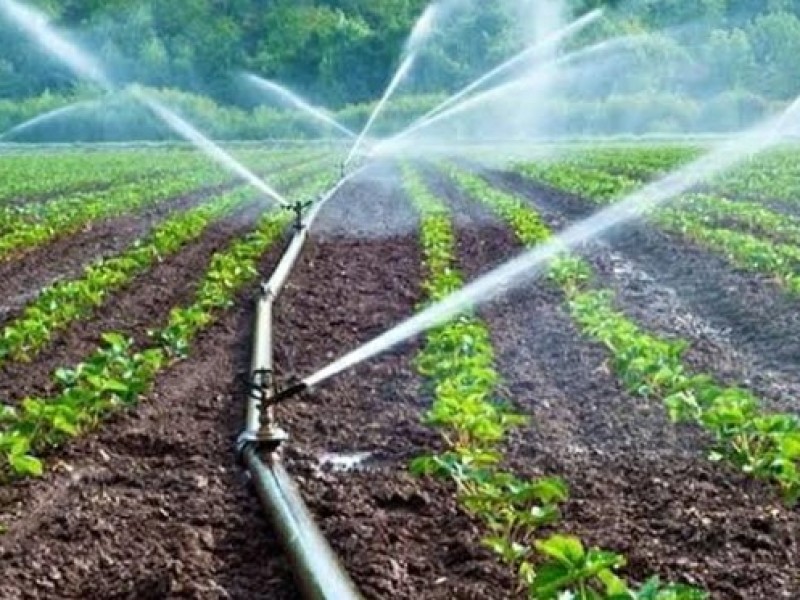 León en riesgo económico por la falta de agua