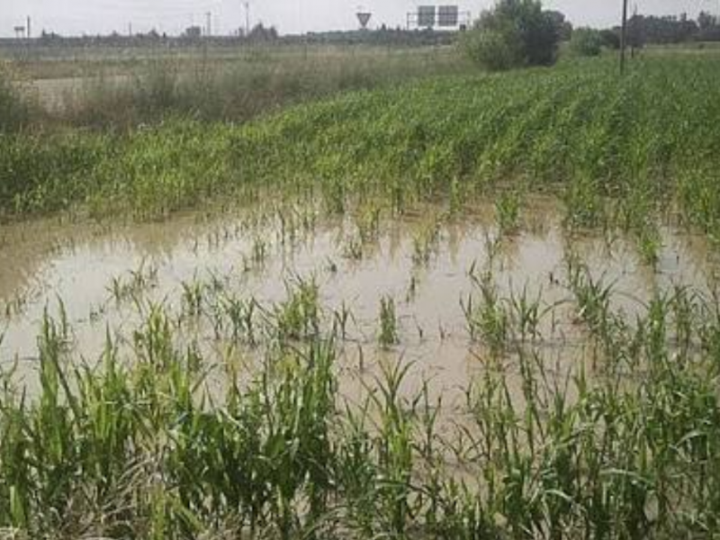 León menos afectado por las lluvias