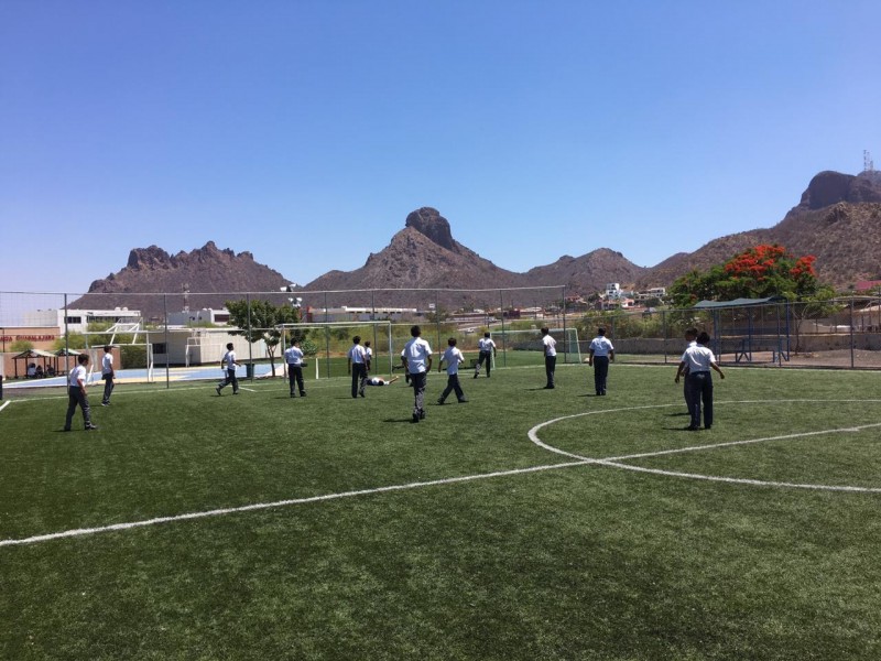 Leones van a Nacional representando a Sonora