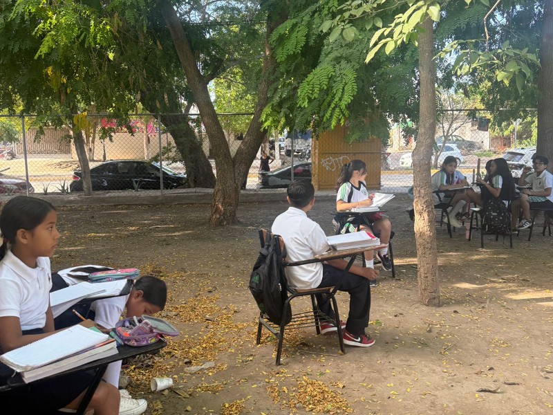 ¡Les roban el cableado! Niños toman clases bajo los árboles