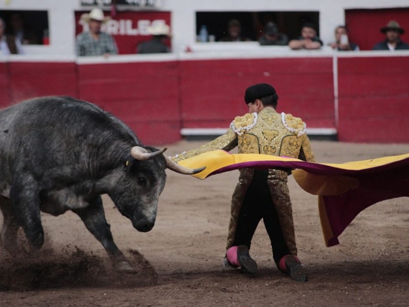 Ley de protección animal no contempla Tauromaquia, asegura gobernador que 